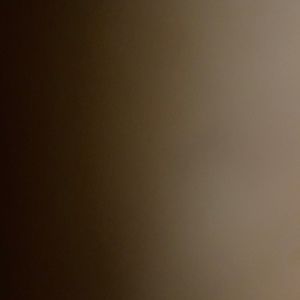 Meet your Posher, Jackson